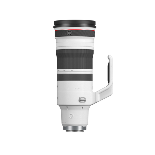 Canon RF 100-300mm/2,8 L IS USM Objektiv